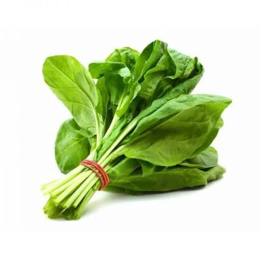  عکس شاهی